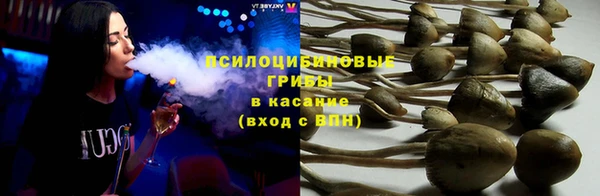 прущий лед Аркадак