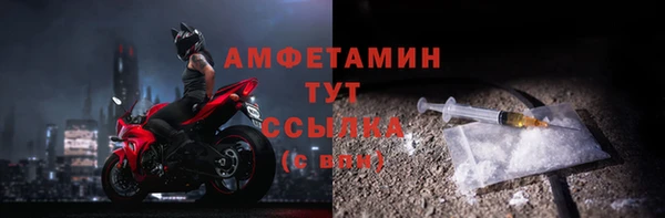 эйфоретик Няндома