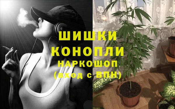 прущий лед Аркадак