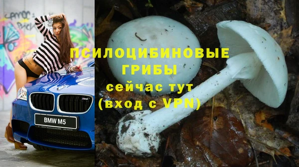 стаф Армянск