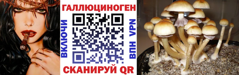 Галлюциногенные грибы мицелий  хочу наркоту  Армянск 